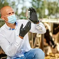 Animal health check