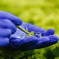 Microbial solutions