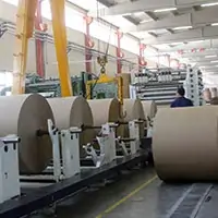 Paper and Pulp