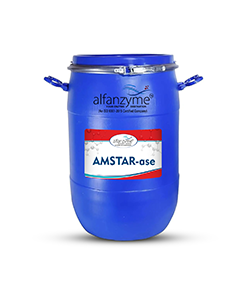 AMSTAR-ase