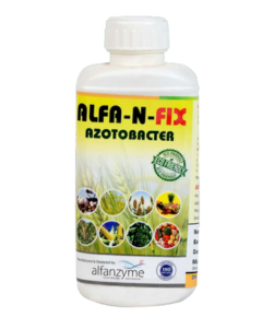 Alfa N Fix
