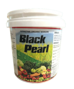 Black Pearl