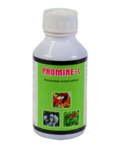 Promine L