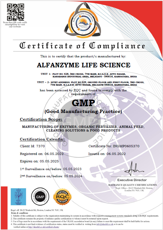GMP